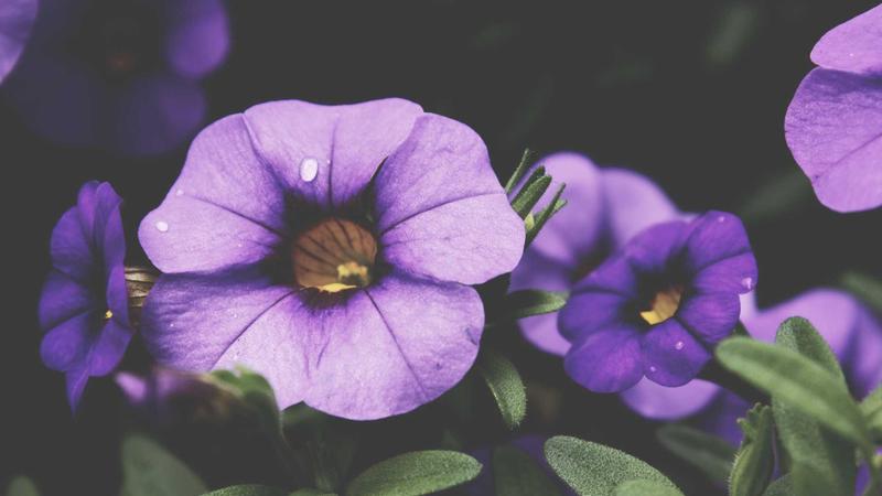 Therapy for Women Oklahoma: What to Expect?