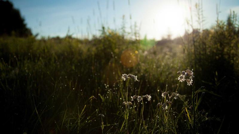 How to Buy Land in Florida Without Costly Mistakes?