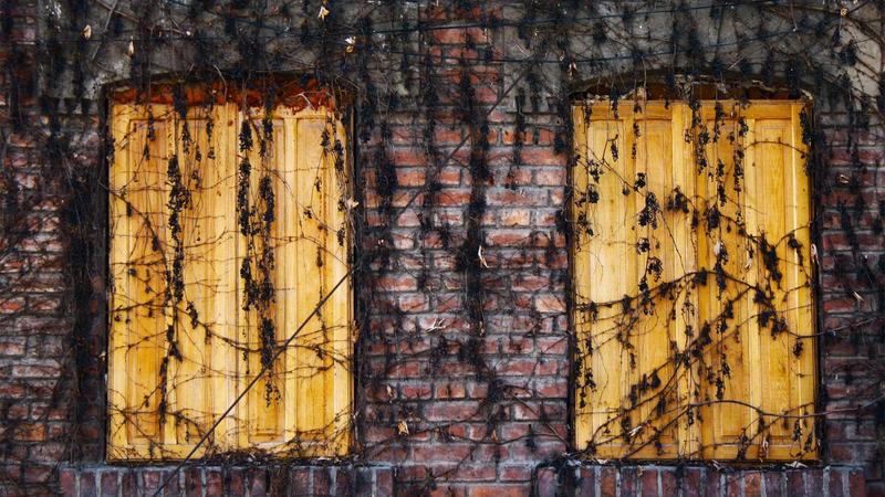 How to Maintain Your Safe Room Door?